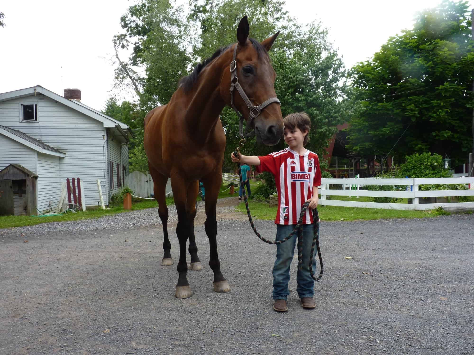 boy with horse